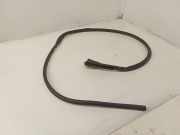 Türdichtungsgummi vorne links OPEL GRANDLAND X (75) 1.2 9811258480