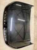 Motorhaube Land Rover Range Rover Evoque I (L538)
