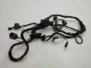 Kabel Tür BMW X5 (E53) 691372701