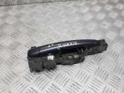 Türverkleidung links hinten Renault Scenic II (JM)