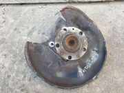 Radnabe hinten Audi A6 (4F, C6)