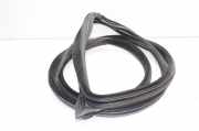 Türgummi rechts vorne BMW 6er Gran Coupe (F06) 7275298