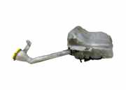 Behälter Scheibenwaschanlage Nissan Qashqai (J10) 28910JD900