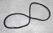 Türgummi links hinten Porsche Cayenne 2 (92A) 7P0867367F