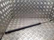 Heckklappe Gasdruckfeder links RENAULT ESPACE IV (JK0/1_) 2.2 dCi (JK0H) 8200021974