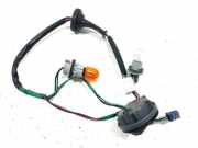 Kabelbaum Nissan Leaf (ZE0)