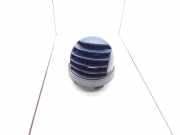 Frischluftgrill SMART FORTWO Coupe (450) 0.7 (450.330) 966300001 5200018400