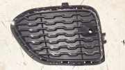 Gitter vorne unten BMW X3 (F25) xDrive 28 i 10503410