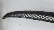 Kühlergrill oben BMW 3er Cabriolet (E46)