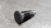 Kettenspanner für Ölpumpenantrieb Audi A6 (4F, C6) 06H109467AR