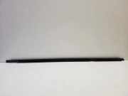 Türfensterleiste hinten links