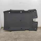 Dachverkleidung VOLVO XC40 (536) B4 Mild-Hybrid AWD 31699256 32260164