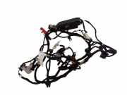 Kabel Tür Audi A8 (4E) 4E5971693D