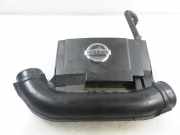 Ansaugresonator NISSAN PATHFINDER III (R51) 4.0 4WD