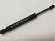 Gasfeder für Motorhaube Hyundai Santa Fe III (DM) 811612W000