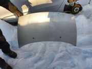 Motorhaube CITROËN C3 Pluriel (HB_) 1.4