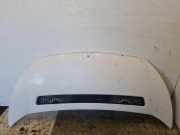 Motorhaube PEUGEOT EXPERT Furgon (VF3A_, VF3U_, VF3X_) 2.0 HDi 140
