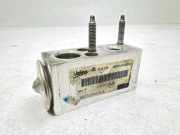 Expansionsventil für Klimaanlage Citroen C4 II (B7) N669449M260B