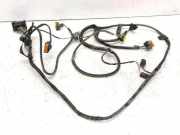 Kabelbaum RENAULT LAGUNA II (BG0/1_) 1.9 dCI (BG0E) 8200356374