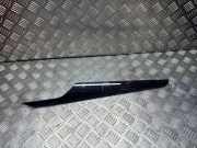 Türverkleidung vorne links BMW X1 (E84) xDrive 20 d 2991389