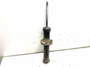 Stoßdämpfer rechts hinten BMW X3 (F25) 6797026