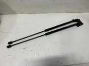 Heckklappe Gasdruckfeder links RENAULT MEGANE III Coupe (DZ0/1_) 1.6 dCi (DZ00) 904510002R