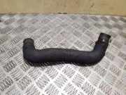 Schlauch Kühlung AUDI A4 (8K2, B8) 3.0 TDI quattro