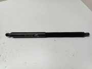 Heckklappe Gasdruckfeder links BMW X3 (G01, F97) xDrive 20 d 0E749748206