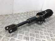 Stoßdämpfer vorne links BMW 5 (F10) 525 d 814904006455