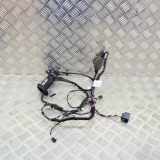 Türverkabelung hinten rechts