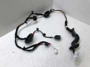 Türverkabelung hinten links HYUNDAI i30 (PDE, PD) 1.0 T-GDI 91650G4020