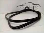 Dichtungsgummi der hinteren Tür (an der Karosserie)