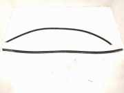 Dachleiste links MERCEDES-BENZ CLK (C209) 270 CDI (209.316) 2096980198