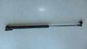 Heckklappe Gasdruckfeder links TOYOTA LAND CRUISER 100 (_J1_) 4.2 TD (HDJ100_)