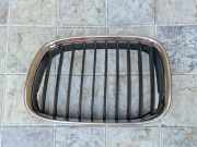 Kühlergrill komplett BMW 5er (E39) 8159311