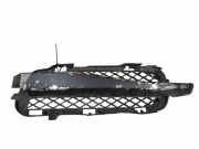 Gitter vorne unten JAGUAR XF (X250) 3.0 D 8X2315K233BC