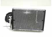 A/C Matrix Heater MERCEDES-BENZ CLS (C218) CLS 250 CDI / BlueTEC / d (218.303, 218.304) A2048300258