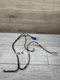 Kabel der vorderen linken Tür AUDI A6 Allroad (4FH, C6) 3.0 TDI quattro Z241003