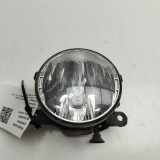 Nebelscheinwerfer links vorne Opel Vivaro B Kasten (X82) 261500097R