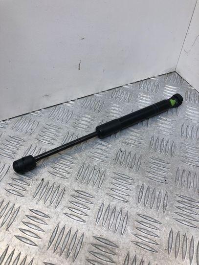 Gasfeder für Motorhaube BMW 1er (F21) 248570