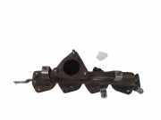 Auspuffkrümmer Citroen C5 III (RD) 13011901