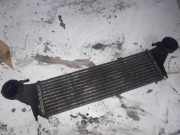 Ladeluftkühler BMW X5 (E53) 3.0 d 1751779123102