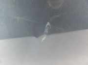 Tür hinten links NISSAN PATHFINDER III (R51) 2.5 dCi 4WD