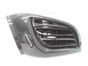 Frischluftgrill CITROËN C3 I (FC_) 1.6 16V HDi 968575017 1015360