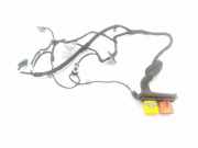 Kabel der vorderen linken Tür OPEL Crossland X (P17) (P17) 1.6 16082017