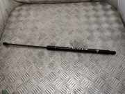 Heckklappe Gasdruckfeder links