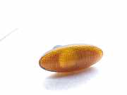 Kotflügelblinker vorne links