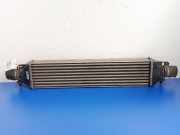 Ladeluftkühler Fiat Bravo II (198)