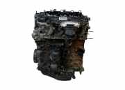Motor ohne Anbauteile (Benzin) Ford Kuga II (DM2) TXMA