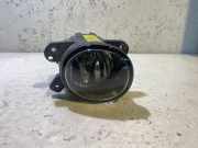 Nebelscheinwerfer vorne rechts MERCEDES-BENZ M (W164) ML 350 4-matic (164.186) A2518200756